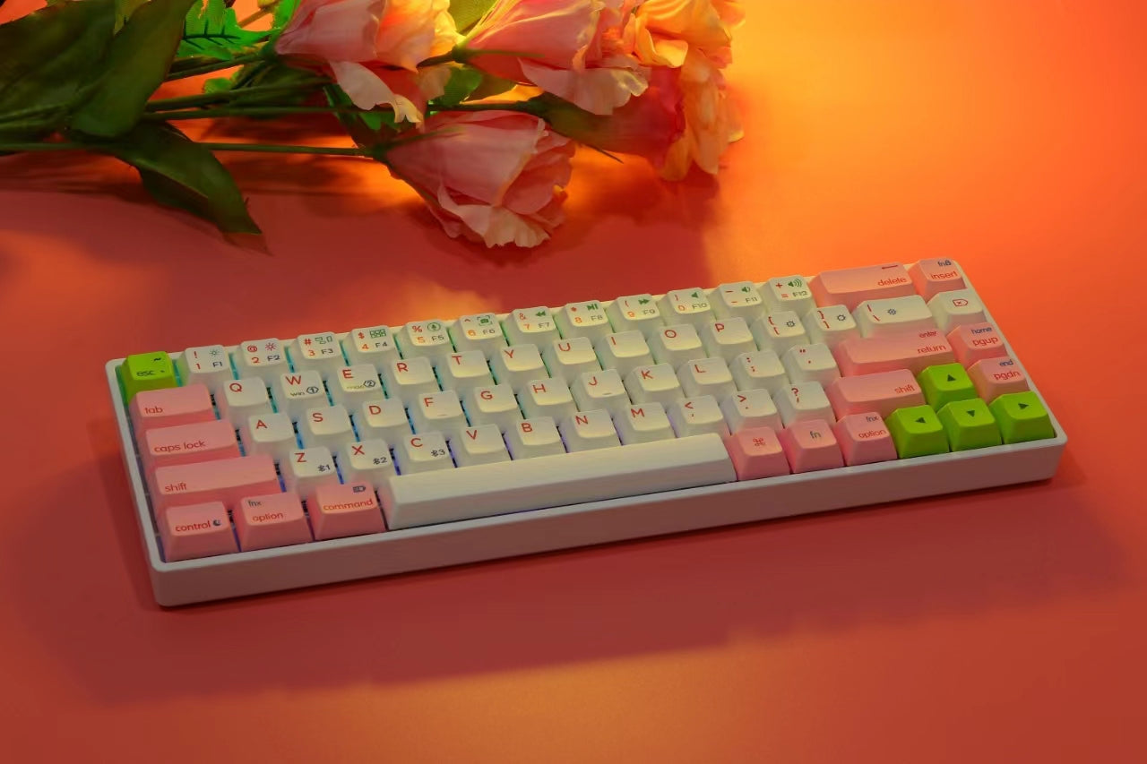 A Comprehensive Cleaning Guide to Keeping Your Mechanical Keyboard in Prime Condition