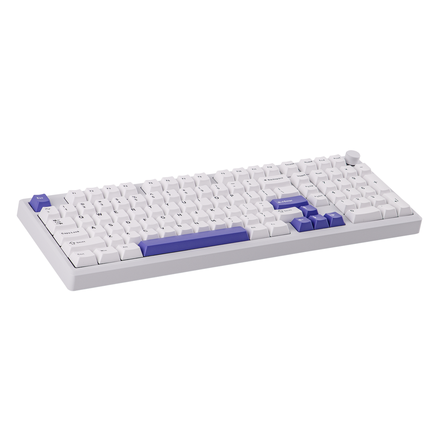 EPOMAKER Galaxy100 QMK/VIA White Purple rear view with USB-C port and wireless toggle