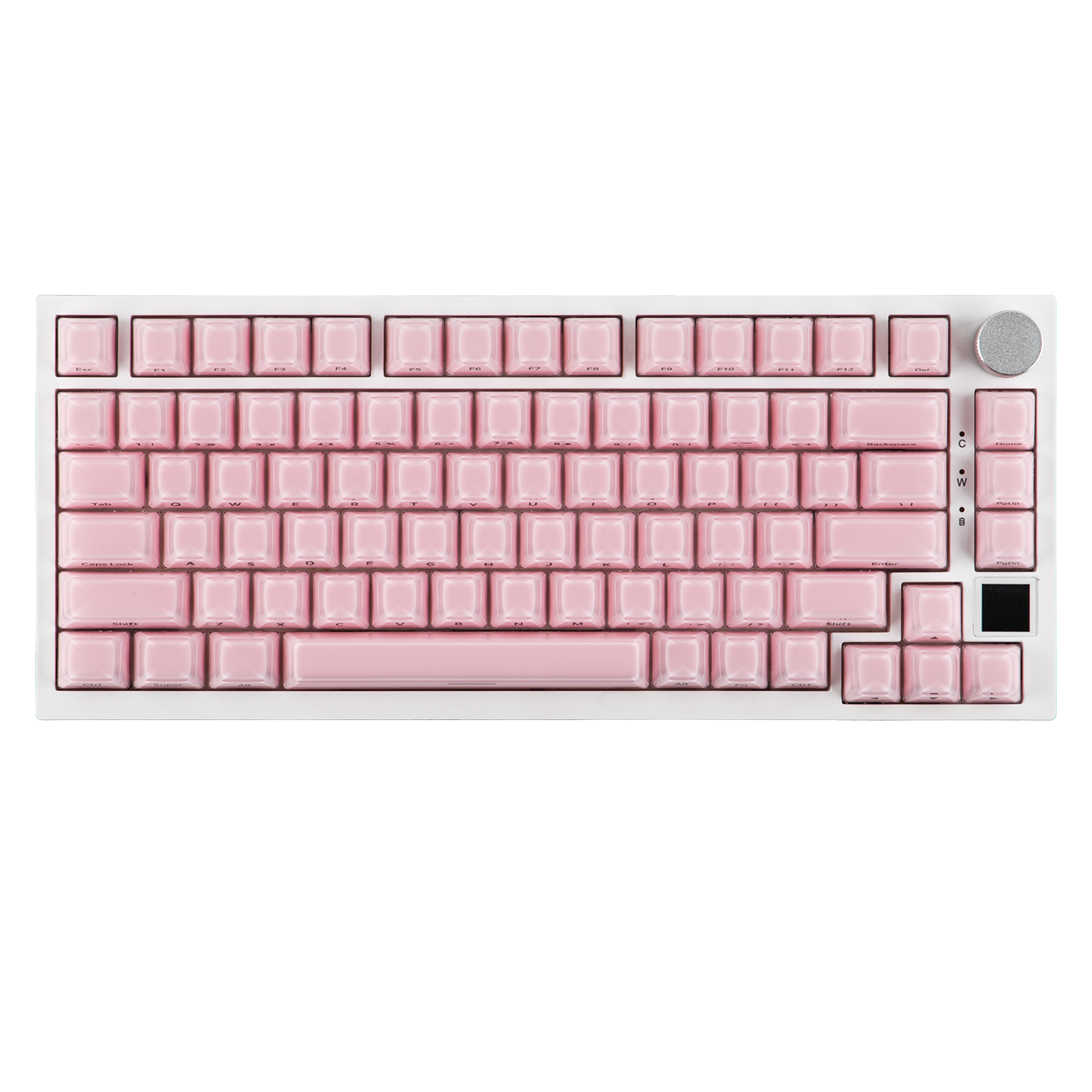 EPOMAKER Lusterfly Jelly Keycaps Set — detail close-up