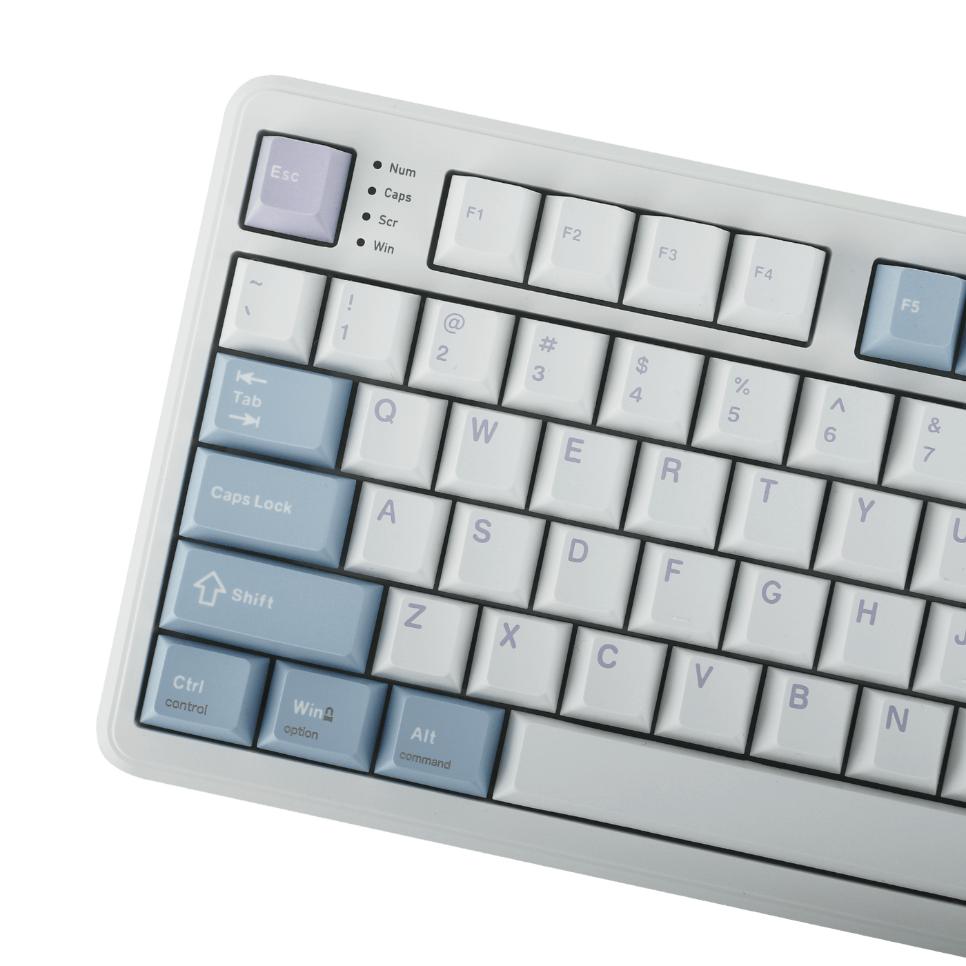 EPOMAKER TH99 PRO close-up of WASD keys, Esc, and function row, White Blue