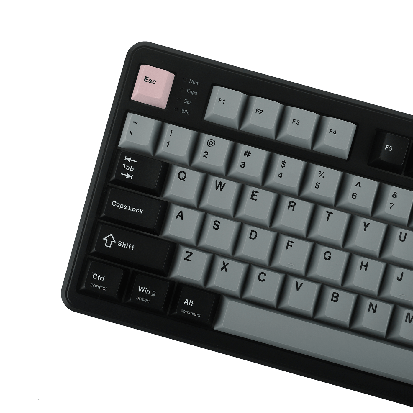 EPOMAKER TH99 PRO close-up of Esc, function row, and WASD keys, Black Grey