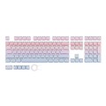 Blue Pink Gradient
