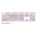 Pink Purple Gradient