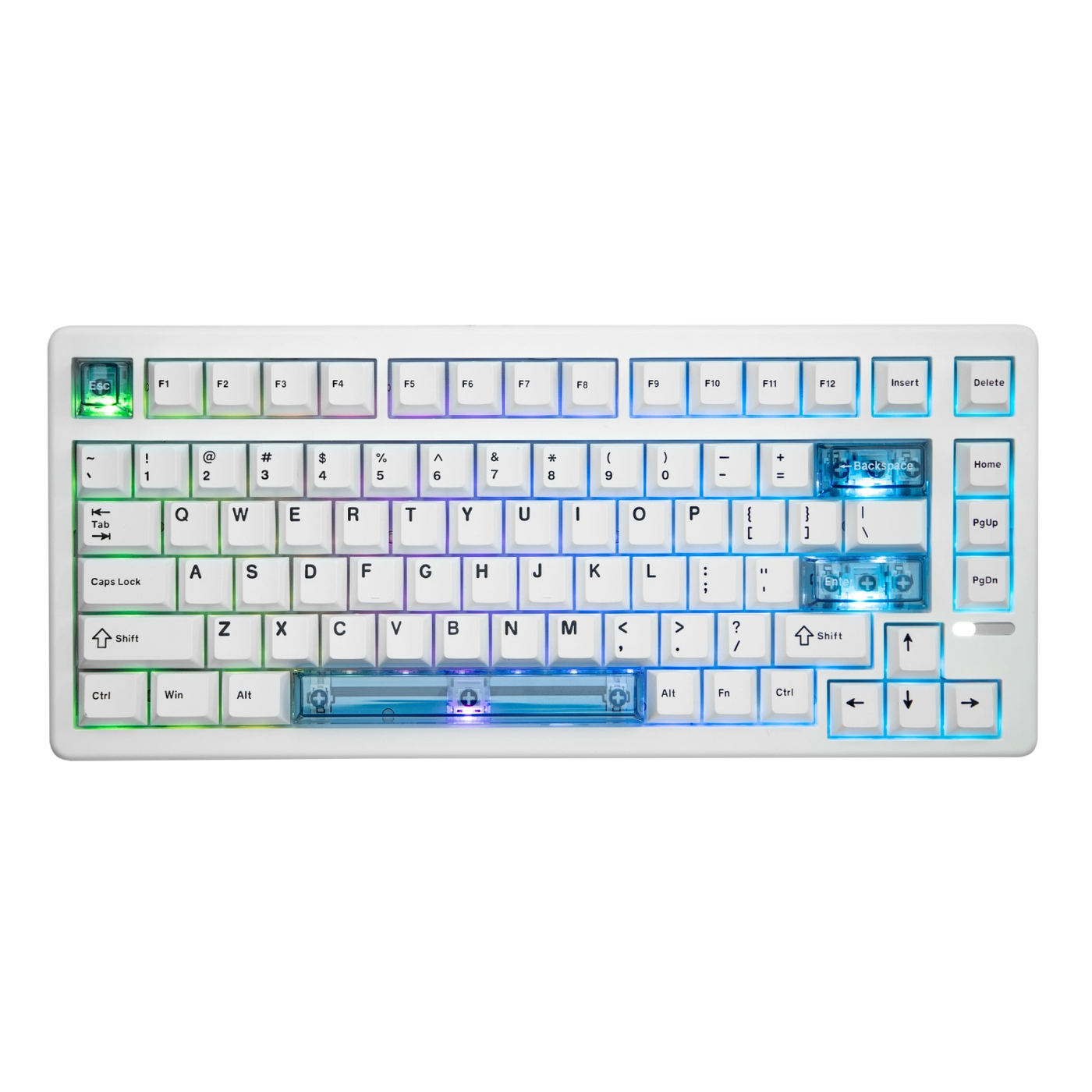 HE80 + Click Lite Mouse Bundle — top-down view