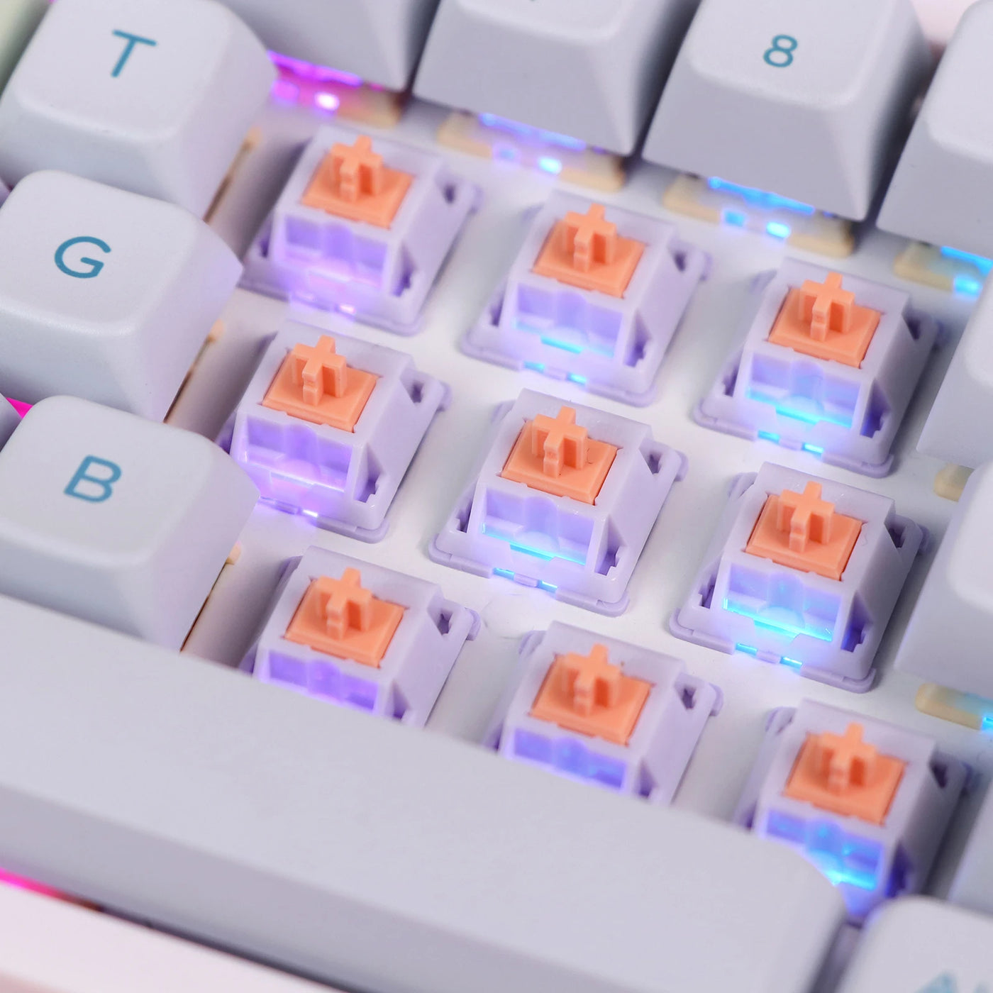 EPOMAKER Wisteria Switches Set — product view 31