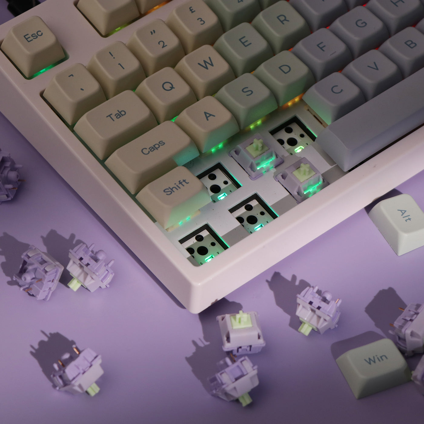 EPOMAKER Wisteria Switches Set — product view 6
